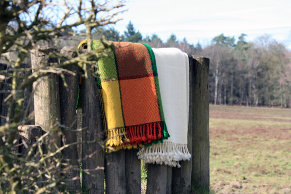 Zuivere wol Plaid Green Ivanna - Afbeelding 2